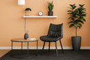 Liva Black Dining Chair - Lifestyle Furniture