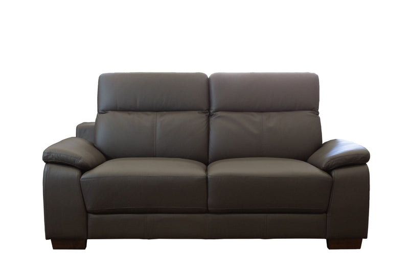 Natal Dark Brown 2-Seater Leather Sofa - LIFESTYLE FURNITURE